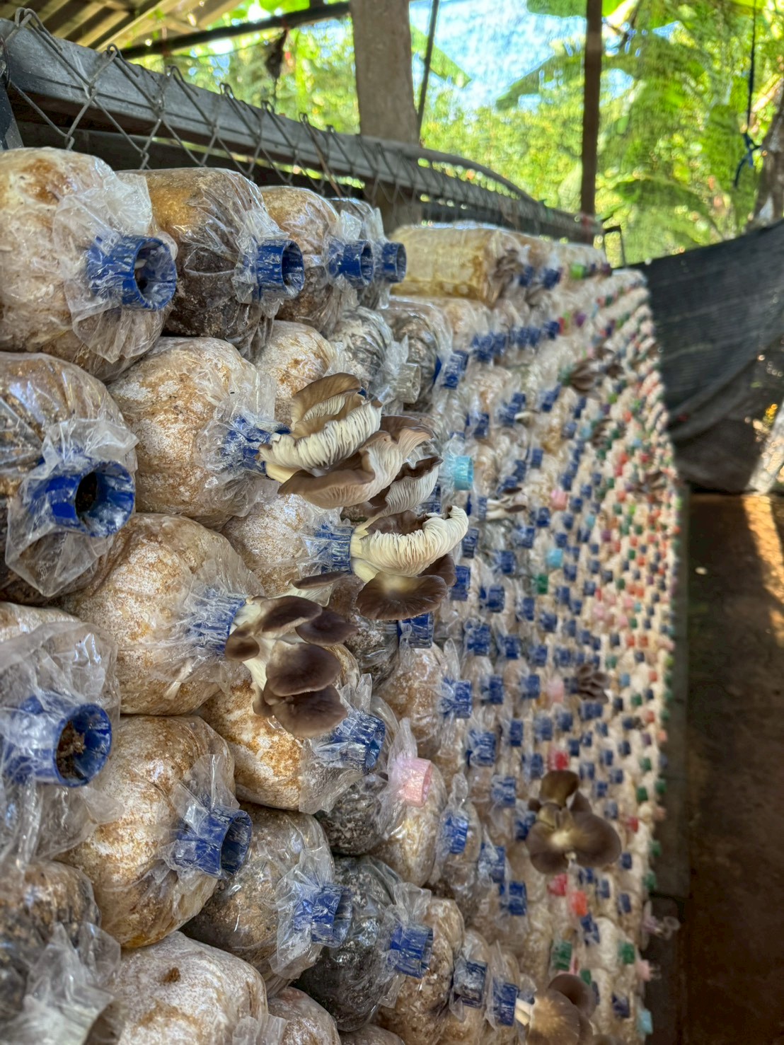 title - ส.ป.ก.จันทบุรี อบรมโครงการพัชรสุธาคชานุรักษ์ ปีงบประมาณ พ.ศ. 2569 